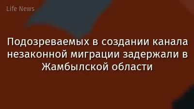 Подозреваемых в создании канала незаконной миграции задержали в Жамбылской области