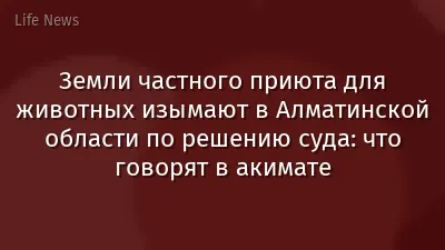 Земли частного приюта для животных изымают в Алматинской области по решению суда: что говорят в акимате