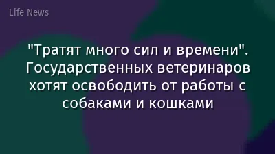 "Тратят много сил и времени". Государственных ветеринаров хотят освободить от работы с собаками и кошками