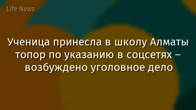 Ученица принесла в школу Алматы топор по указанию в соцсетях – возбуждено уголовное дело