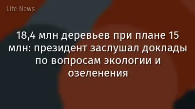 18,4 млн деревьев при плане 15 млн: президент заслушал доклады по вопросам экологии и озеленения