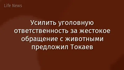 Усилить уголовную ответственность за жестокое обращение с животными предложил Токаев