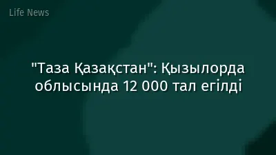 "Таза Қазақстан": Қызылорда облысында 12 000 тал егілді