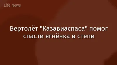 Вертолёт "Казавиаспаса" помог спасти ягнёнка в степи