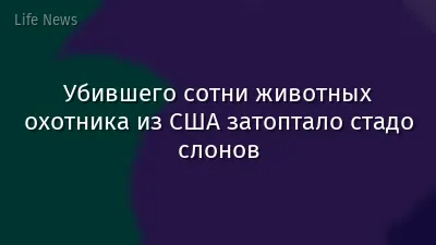 Убившего сотни животных охотника из США затоптало стадо слонов
