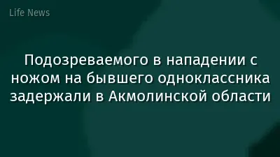 Подозреваемого в нападении с ножом на бывшего одноклассника задержали в Акмолинской области