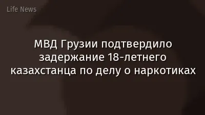 МВД Грузии подтвердило задержание 18-летнего казахстанца по делу о наркотиках