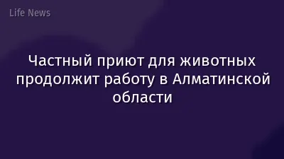 Частный приют для животных продолжит работу в Алматинской области