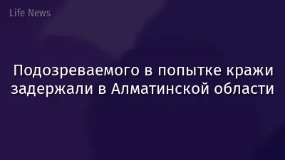 Подозреваемого в попытке кражи задержали в Алматинской области