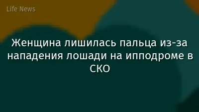 Женщина лишилась пальца из-за нападения лошади на ипподроме в СКО