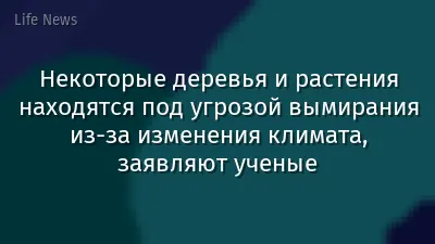 Некоторые деревья и растения находятся под угрозой вымирания из-за изменения климата, заявляют ученые