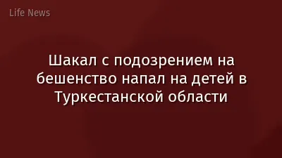 Шакал с подозрением на бешенство напал на детей в Туркестанской области