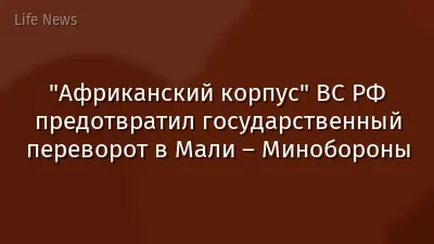 "Африканский корпус" ВС РФ предотвратил государственный переворот в Мали – Минобороны