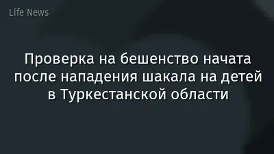 Проверка на бешенство начата после нападения шакала на детей в Туркестанской области