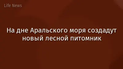 На дне Аральского моря создадут новый лесной питомник