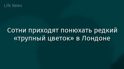 Сотни приходят понюхать редкий «трупный цветок» в Лондоне