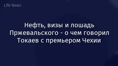 Нефть, визы и лошадь Пржевальского - о чем говорил Токаев с премьером Чехии