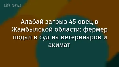 Алабай загрыз 45 овец в Жамбылской области: фермер подал в суд на ветеринаров и акимат