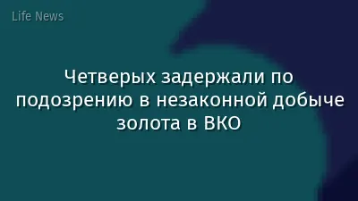 Четверых задержали по подозрению в незаконной добыче золота в ВКО