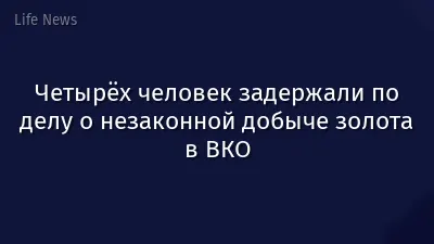 Четырёх человек задержали по делу о незаконной добыче золота в ВКО