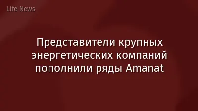 Представители крупных энергетических компаний пополнили ряды Amanat