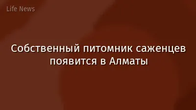 Собственный питомник саженцев появится в Алматы