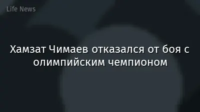 Хамзат Чимаев отказался от боя с олимпийским чемпионом