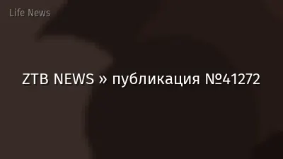 ZTB NEWS » публикация №41272