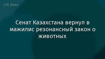 Сенат Казахстана вернул в мажилис резонансный закон о животных