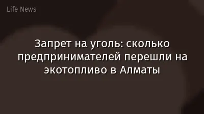 Запрет на уголь: сколько предпринимателей перешли на экотопливо в Алматы