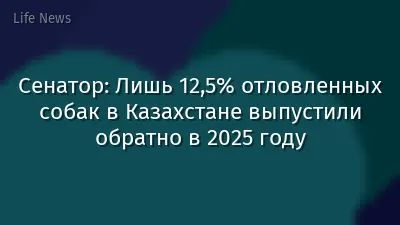 Сенатор: Лишь 12,5% отловленных собак в Казахстане выпустили обратно в 2025 году