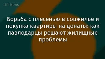 Борьба с плесенью в соцжилье и покупка квартиры на донаты: как павлодарцы решают жилищные проблемы