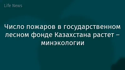 Число пожаров в государственном лесном фонде Казахстана растет – минэкологии