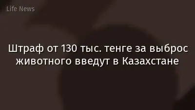 Штраф от 130 тыс. тенге за выброс животного введут в Казахстане