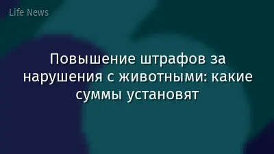 Повышение штрафов за нарушения с животными: какие суммы установят