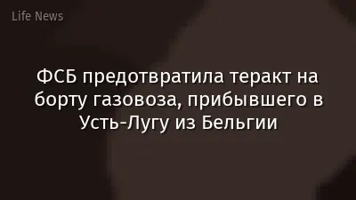 ФСБ предотвратила теракт на борту газовоза, прибывшего в Усть-Лугу из Бельгии