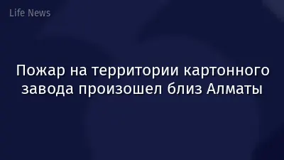 Пожар на территории картонного завода произошел близ Алматы