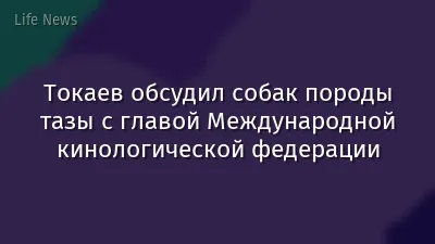 Токаев обсудил собак породы тазы с главой Международной кинологической федерации