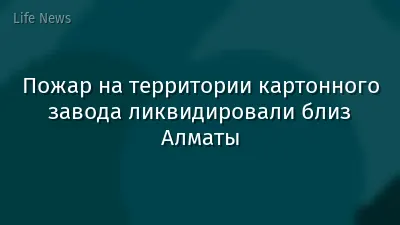 Пожар на территории картонного завода ликвидировали близ Алматы