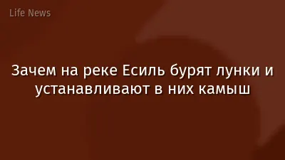 Зачем на реке Есиль бурят лунки и устанавливают в них камыш