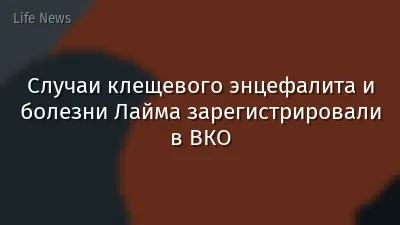 Случаи клещевого энцефалита и болезни Лайма зарегистрировали в ВКО