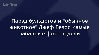 Парад бульдогов и "обычное животное" Джеф Безос: самые забавные фото недели