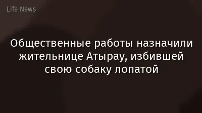 Общественные работы назначили жительнице Атырау, избившей свою собаку лопатой