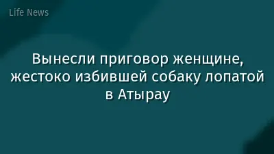 Вынесли приговор женщине, жестоко избившей собаку лопатой в Атырау