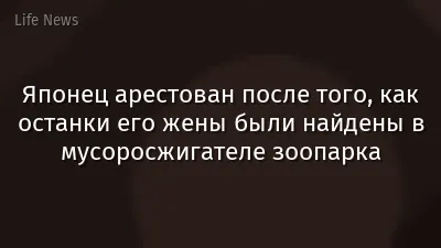 Японец арестован после того, как останки его жены были найдены в мусоросжигателе зоопарка