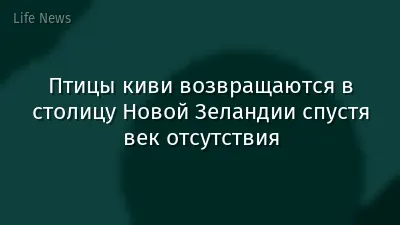 Птицы киви возвращаются в столицу Новой Зеландии спустя век отсутствия