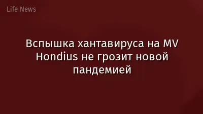 Вспышка хантавируса на MV Hondius не грозит новой пандемией
