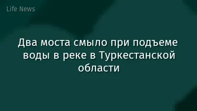 Два моста смыло при подъеме воды в реке в Туркестанской области