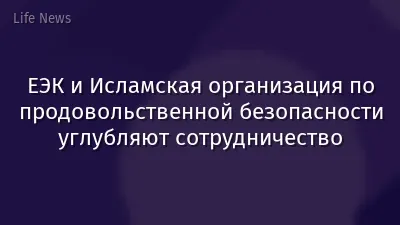 ЕЭК и Исламская организация по продовольственной безопасности углубляют сотрудничество