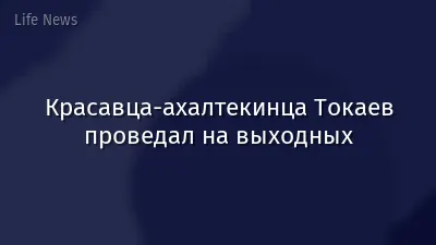 Красавца-ахалтекинца Токаев проведал на выходных